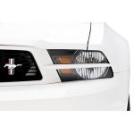 3dCarbon séparateur de lumière avant Mustang 2010-2012 GT