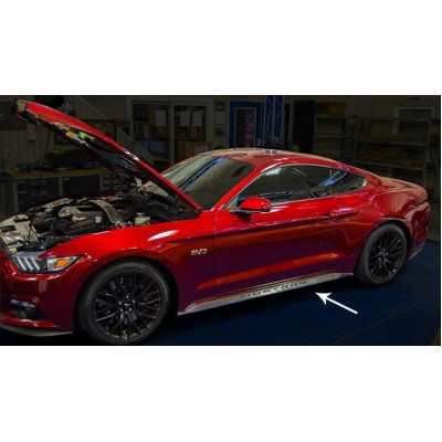 ZHEYANG Protege Jantes Voiture pour Ford Mustang,Protection pour Jantes de  Voiture,Durable,Garnitures Anti-Rayures Voiture,4